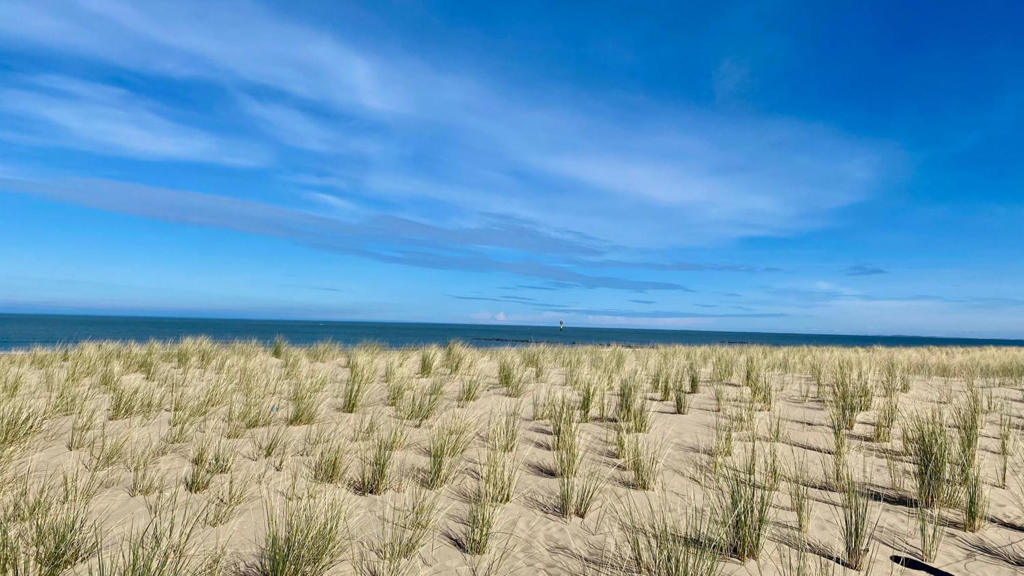 Appartamento Royal Knokke Esterno foto